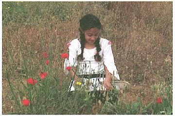 (בספר איור של נוגה ושביט משוחחים)